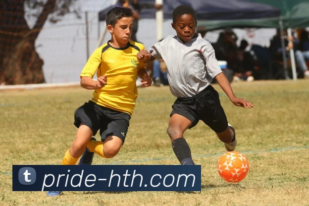 App Interface Preview